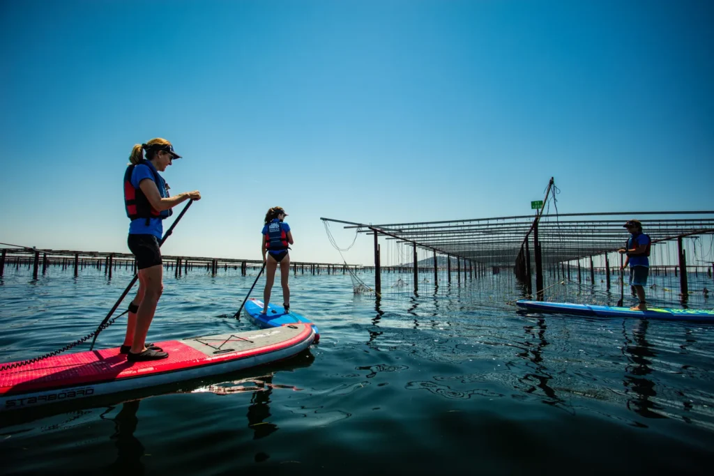 Paddle le long des tables conchylicoles
