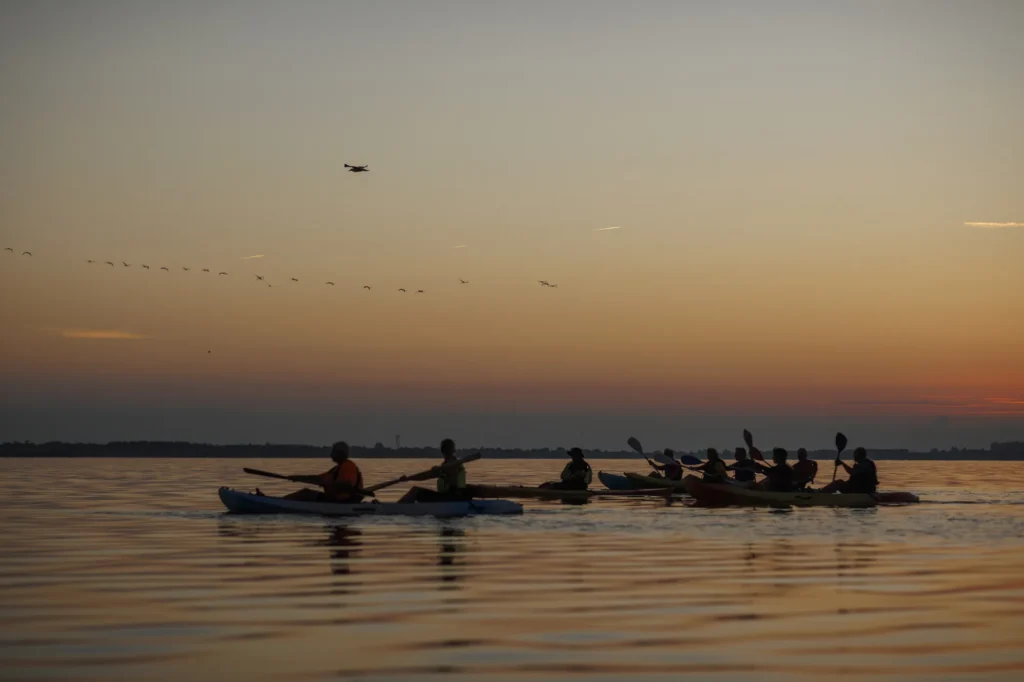 File de kayaks au coucher du soleil, un vol de flamants roses dans le ciel